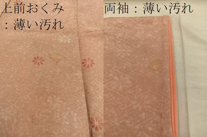 平和屋着物■上質な小紋　菊　地紋起こし　正絹　逸品　BAAX5108mz