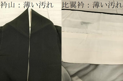 平和屋着物■豪華黒留袖　作家物　飛鶴文　暈し染め　金彩　正絹　逸品　BAAX5109mz
