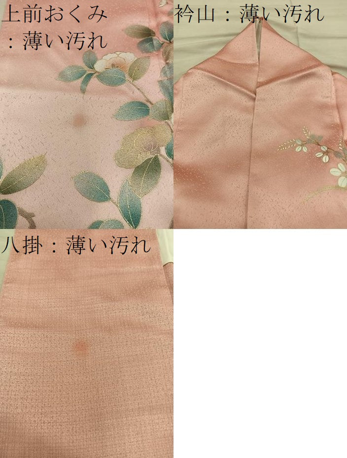 平和屋着物■訪問着　螺鈿　枝花文　暈し染め　金彩　正絹　逸品　BAAX5111mz