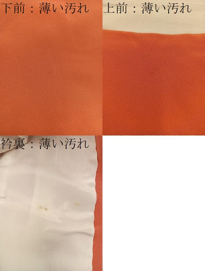 平和屋着物■上質な色無地　丹色　正絹　逸品　BAAX5112mz