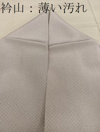 平和屋着物■江戸小紋　小花尽くし　正絹　逸品　BAAX5122mz
