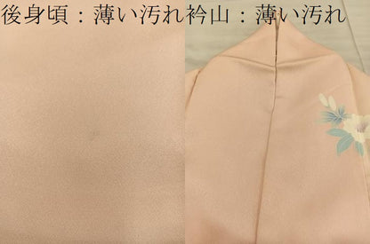 平和屋着物■訪問着　刺繍　花鳥文　暈し染め　正絹　逸品　BAAX5140mz