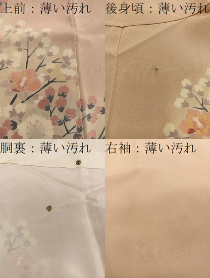 平和屋着物■訪問着　友禅　枝花文　正絹　逸品　BAAX5156mz