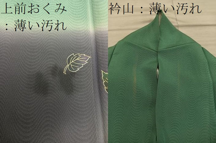 平和屋着物■訪問着　螺鈿　草葉文　暈し染め　金彩　正絹　逸品　BAAX5170mz