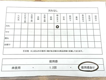 平和屋着物◎六通柄袋帯　風景文　金銀糸　正絹　逸品　BAAX5221qw
