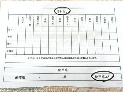 平和屋着物◎900織特選佐賀錦　六通柄袋帯　檜扇花鳥文　金銀糸　正絹　逸品　BAAX5318qw