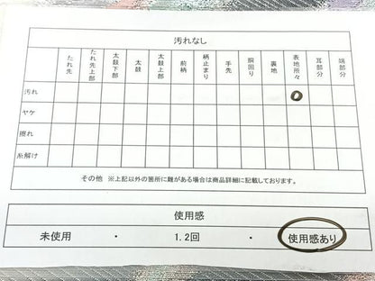 平和屋着物◎六通柄袋帯　舞蝶文　銀糸　正絹　逸品　BAAX5390qw