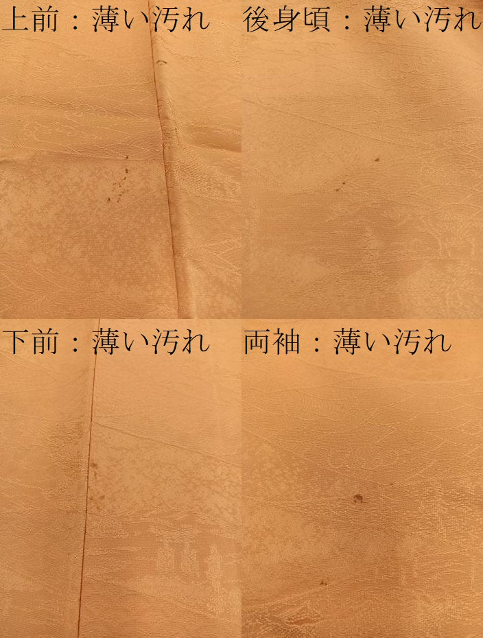 平和屋着物■上質な色無地 風景地紋 柑子色 正絹 逸品 BAAX5440mz