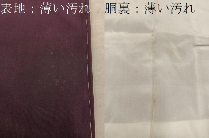 平和屋着物■上質な色無地 黒鳶色 正絹 逸品 BAAX5445mz