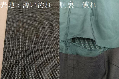平和屋着物■男性 本場大島紬 100亀甲 総詰め 正絹 逸品 BAAX5470mz