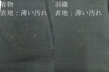 平和屋着物■男性 紬 アンサンブル 100亀甲 総詰め 正絹 逸品 BAAX5472mz