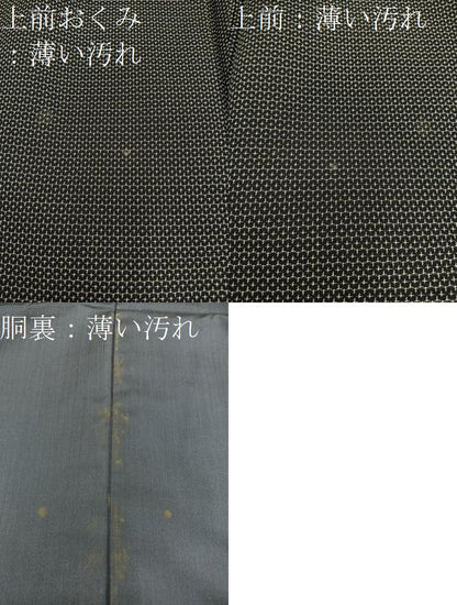 平和屋着物■男性 紬 アンサンブル 100亀甲 総詰め 正絹 逸品 BAAX5480mz