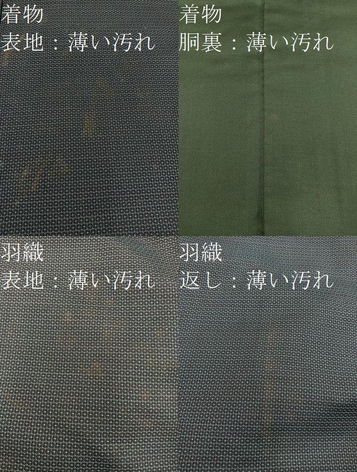 平和屋着物■男性 紬 アンサンブル 100亀甲 総詰め 正絹 逸品 BAAX5488mz