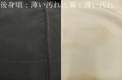 平和屋着物■豪華黒留袖 七宝花文 金彩 正絹 逸品 BAAX5492mz