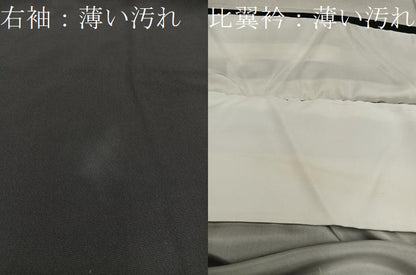平和屋着物■豪華黒留袖　友禅　梅花文　正絹　逸品　BAAX5501mz