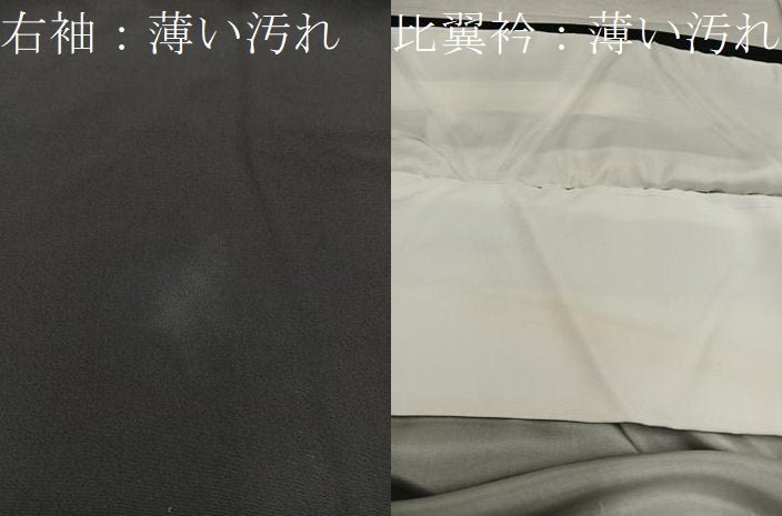 平和屋着物■豪華黒留袖　友禅　梅花文　正絹　逸品　BAAX5501mz