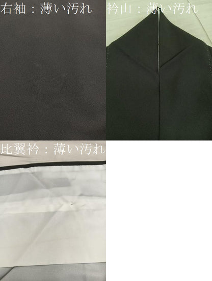 平和屋着物■豪華黒留袖 飛鶴風景花文 暈し染め 金彩 正絹 逸品 BAAX5504mz