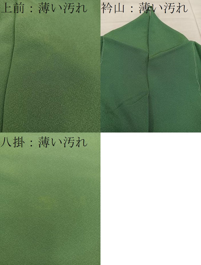 平和屋着物■上質な色無地　松葉文　正絹　逸品　未使用　BAAX5529mz