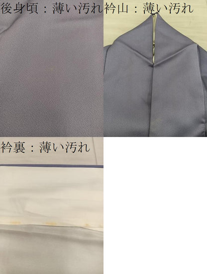 平和屋着物■訪問着　牡丹　正絹　逸品　BAAX5562mz