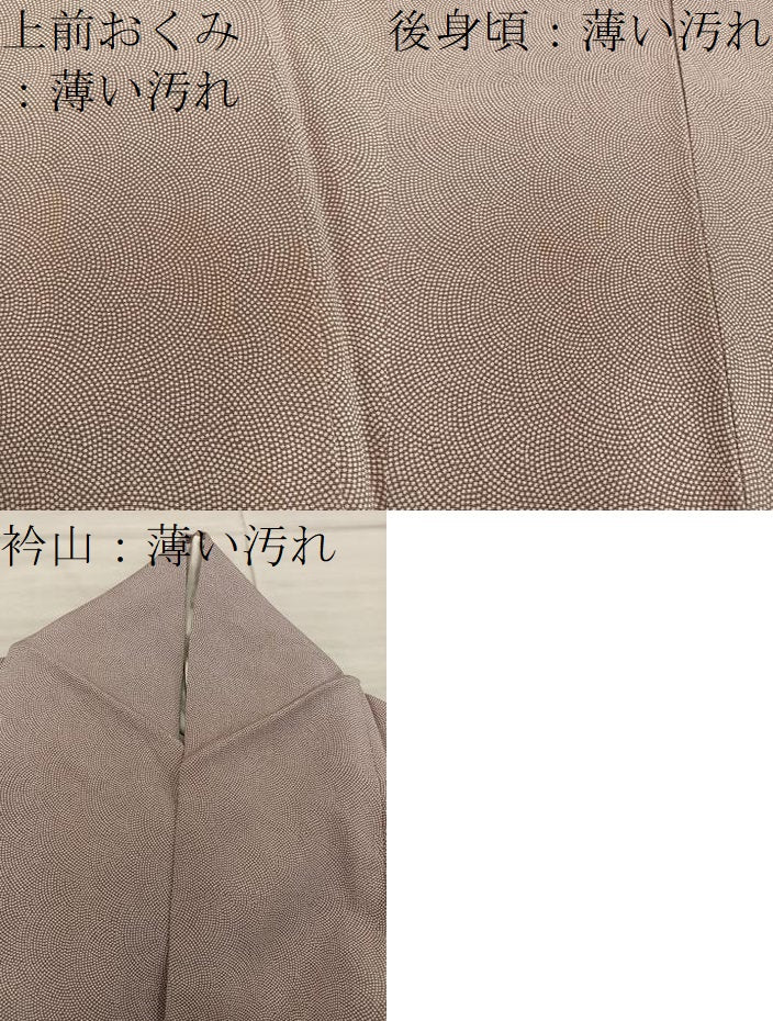 平和屋着物■江戸小紋　鮫小紋柄　正絹　逸品　BAAX5572mz