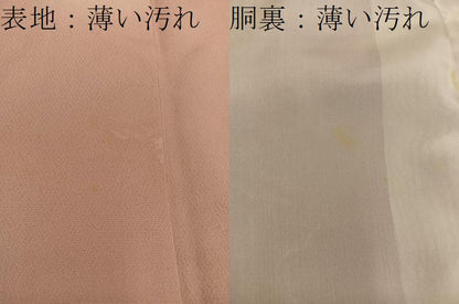 平和屋着物■上質な小紋　風景地紋　蛍暈し　正絹　逸品　BAAX5686mz