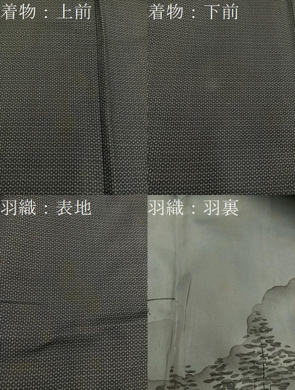 平和屋着物●男性　紬　アンサンブル　キングサイズ　100亀甲　総詰め　正絹　逸品　BAAX5693mz