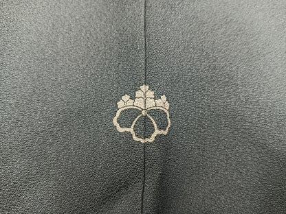 平和屋着物■上質な色無地　岩井茶色　正絹　逸品　BAAX5745mz
