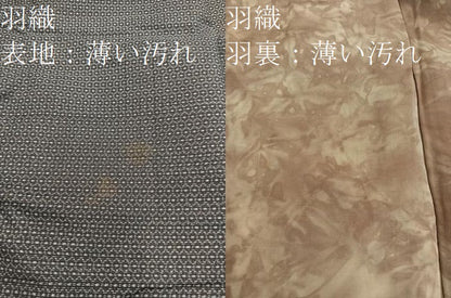 平和屋着物■男性　本場大島紬　アンサンブル　80亀甲　総詰め　正絹　逸品　BAAX5758mz