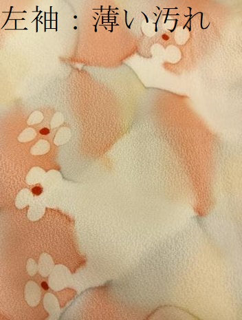平和屋着物■上質な小紋　草花文　暈し染め　正絹　逸品　BAAX5786mz