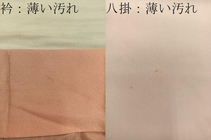 平和屋着物■訪問着　草葉文　暈し染め　正絹　逸品　BAAX5789mz