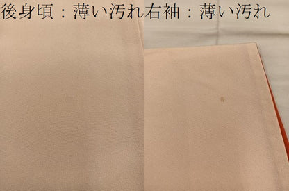 平和屋着物■訪問着　菊花文　暈し染め　金彩　正絹　逸品　BAAX5816mz