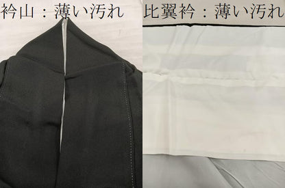 平和屋着物■豪華黒留袖　刺繍　枝葉文　金彩　正絹　逸品　BAAX5827mz