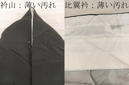平和屋着物■豪華黒留袖　飛鶴花文　金彩　正絹　逸品　BAAX5828mz