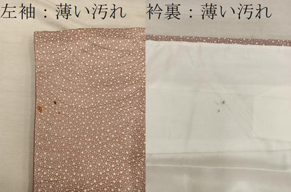 平和屋着物■江戸小紋　霰文　正絹　逸品　BAAX5842mz