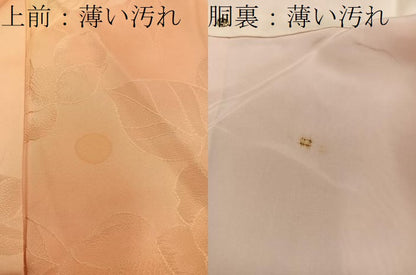 平和屋着物■上質な小紋　草花地紋　暈し染め　正絹　逸品　BAAX5866mz
