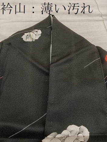 平和屋着物■上質な小紋　草花文　黒地　正絹　逸品　BAAX5877mz