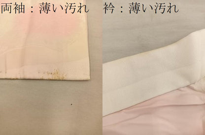 平和屋着物■振袖用長襦袢　袷　地紙菊花文　正絹　逸品　BAAX5903mz