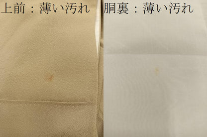 平和屋着物■訪問着　御所車花文　金彩　正絹　逸品　BAAX5911mz