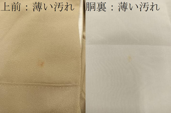 平和屋着物■訪問着　御所車花文　金彩　正絹　逸品　BAAX5911mz