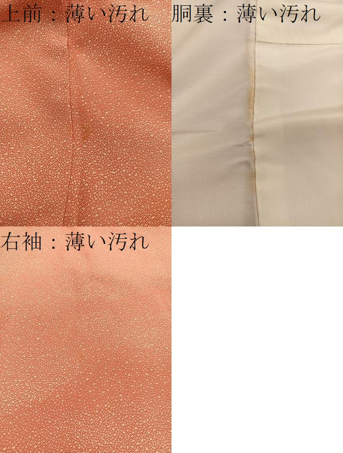 平和屋着物■江戸小紋　あられ文様　正絹　逸品　BAAX5925mz