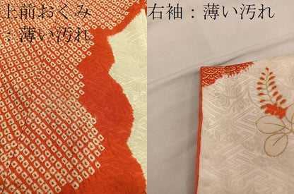 平和屋着物■豪華振袖　駒刺繍　絞り　草花文　金彩　正絹　逸品　BAAX5936mz