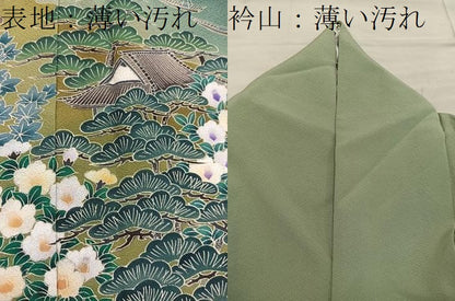 平和屋着物■色留訪問着　友禅　風景花文　暈し染め　正絹　逸品　BAAX5952mz
