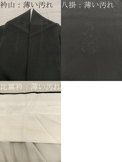 平和屋着物■豪華黒留袖　エ霞花文　金彩　正絹　逸品　BAAX5960mz