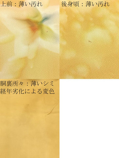 平和屋着物■上質な小紋　花　暈し染め　正絹　逸品　BAAX6015hj