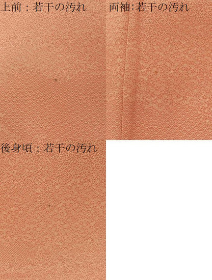 平和屋着物■江戸小紋　雲取寄せ小紋柄　正絹　逸品　BAAX6021hj