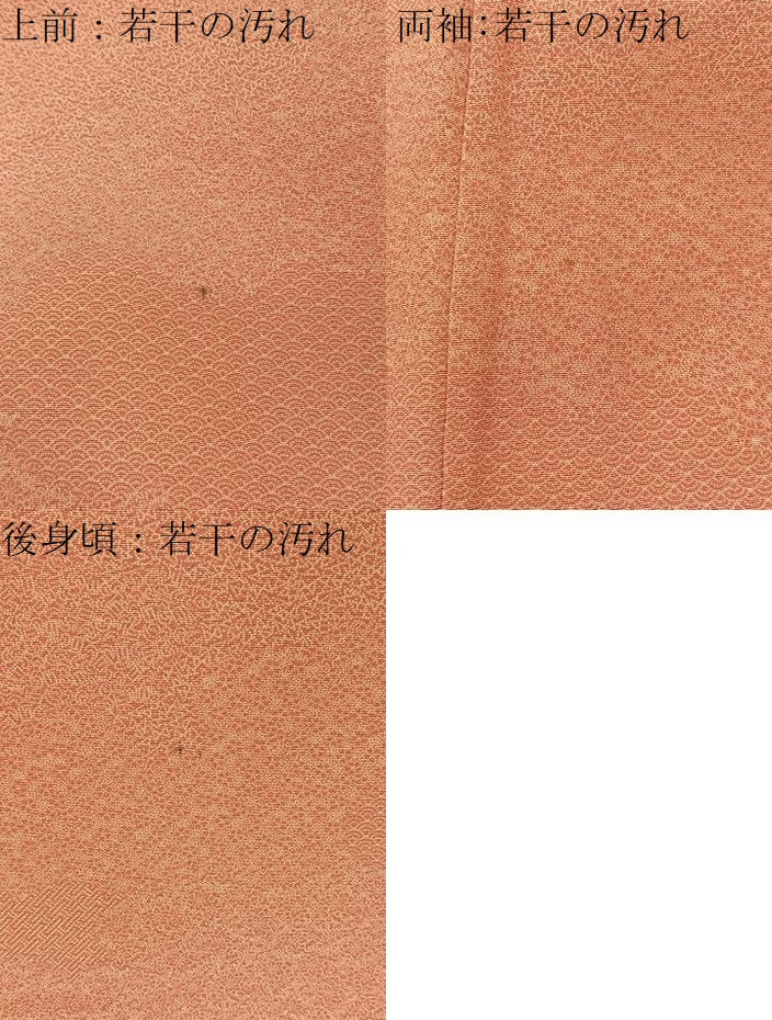 平和屋着物■江戸小紋　雲取寄せ小紋柄　正絹　逸品　BAAX6021hj