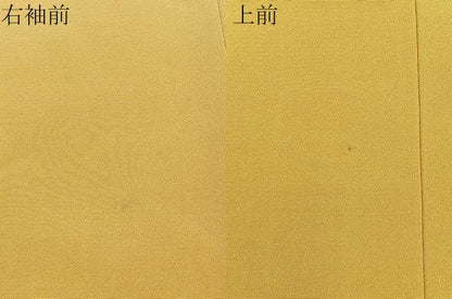 平和屋着物●上質な色無地　玉蜀黍色　正絹　逸品　BAAX6204hj