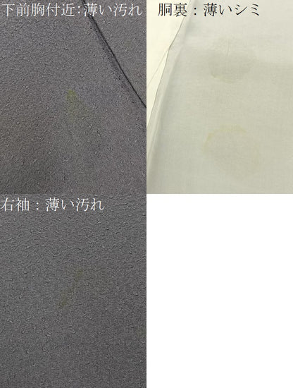 平和屋着物■上質な色無地 紋意匠 竜胆色 正絹 逸品 BAAX6227hj