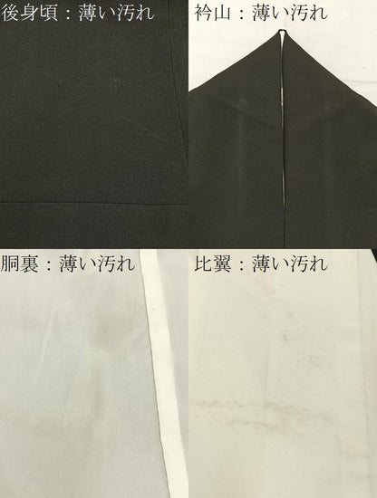 平和屋着物■豪華黒留袖 駒刺繍 鳳凰亀甲草花文 金彩 正絹 逸品 BAAX6288hj