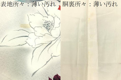 平和屋着物■訪問着　手描き　草花文　暈し染め　正絹　逸品　BAAX6311hj